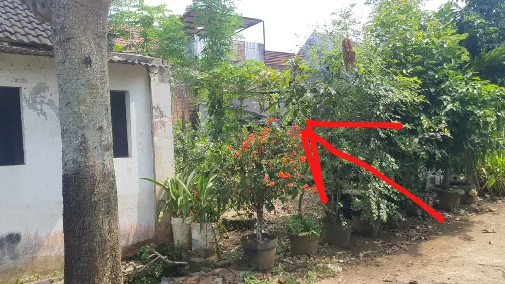 Tanah Kavling Perum Saptoraya Pakis Malang