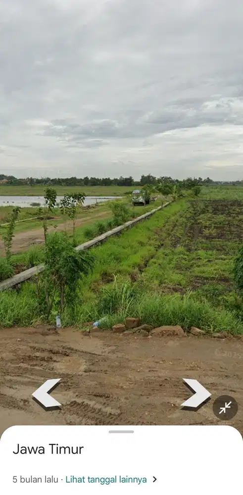 Lahan usaha luas 5 HA harga 700 ribu permeter di Wringinanom, Gresik