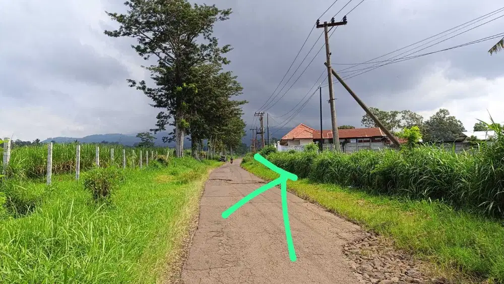 Lahan kebun 10 HA hanya 18 km dari Gerbang tol Wonosari Malang