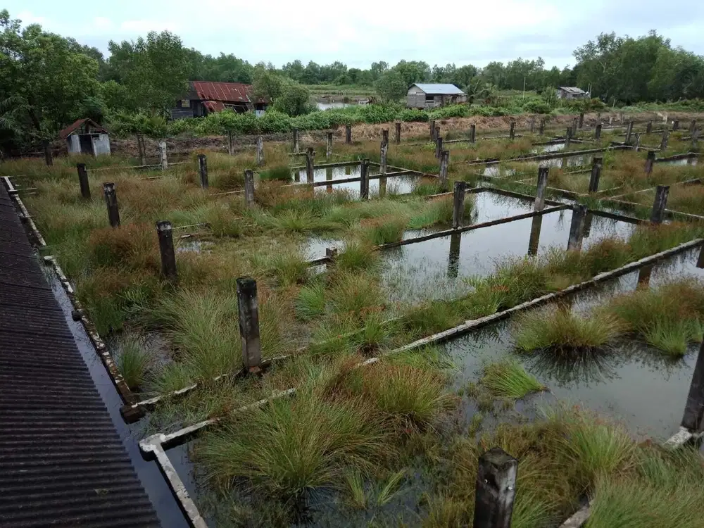 Dijual Lahan Eks / Bekas Tambak di Kec. Percut Sei Tuan, Deli Serdang