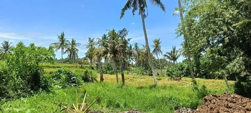 Tanah Full View Sawah di Banjar Teges Ubud, 450m2, SHM