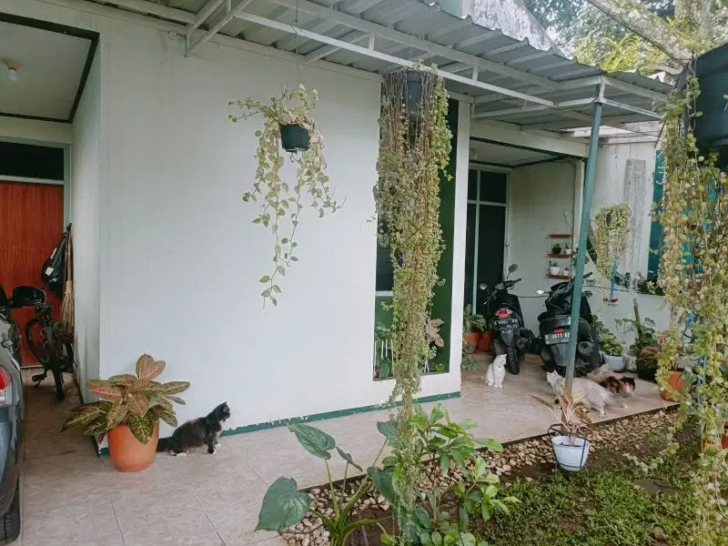 Dijual Rumah siap huni di Sarijadi baru Setra murni atas. 