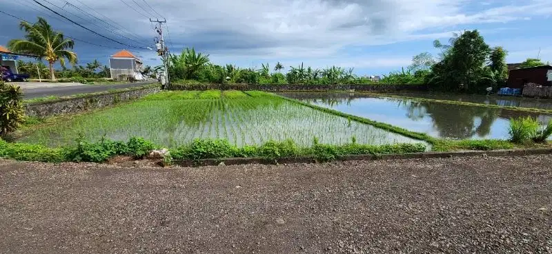 Tanah datar di jalan utama kebo iwa akses jalan 10 meter