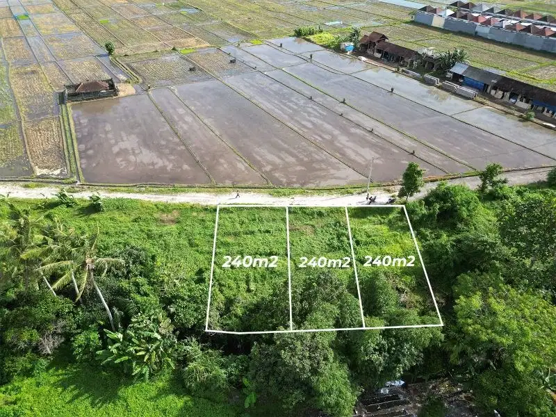 Tanah View Sawah & Los Sungai di Kedungu Bali, SHM, Bisa 240m2