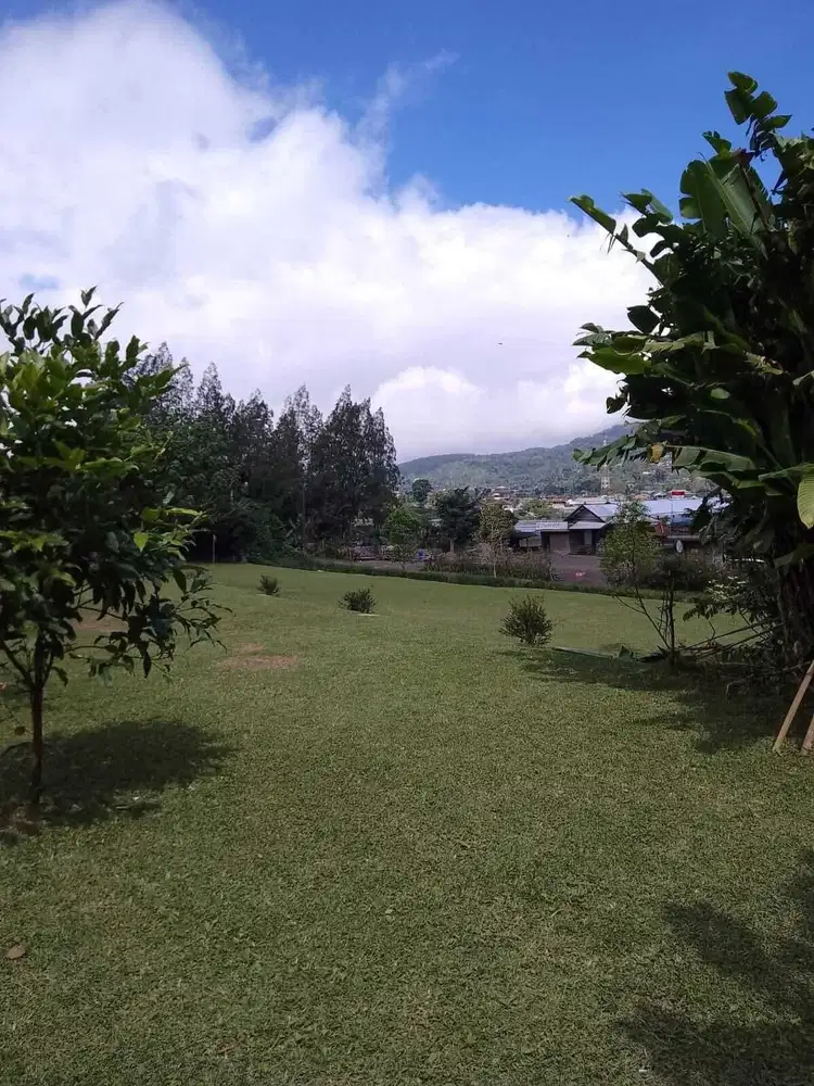 Tanah View Danau Buyan 1,8 Hektar di Jalan Utama Bedugul