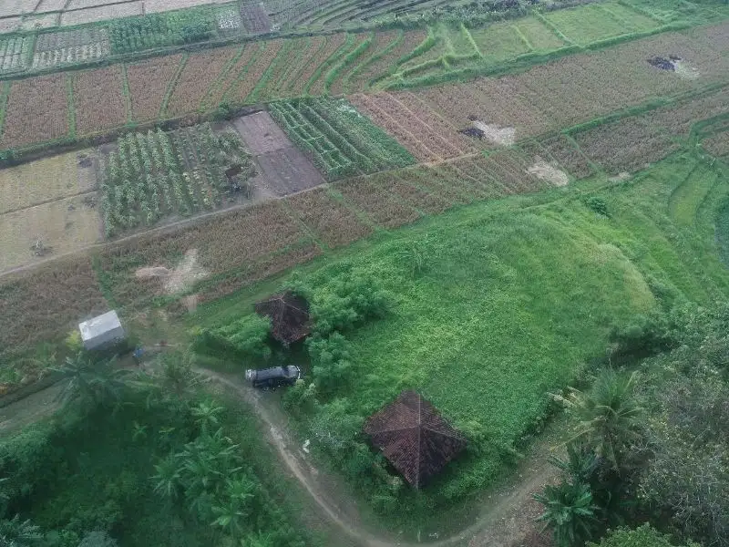 Tanah view hamparan sawah dan loss sungai di Tabanan