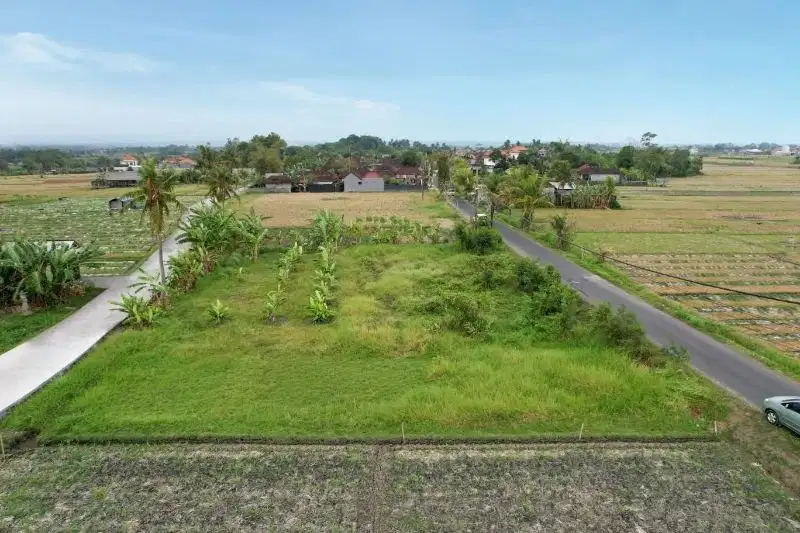 Tanah view laut dan sawah di jalan raya utama pantai Kelating