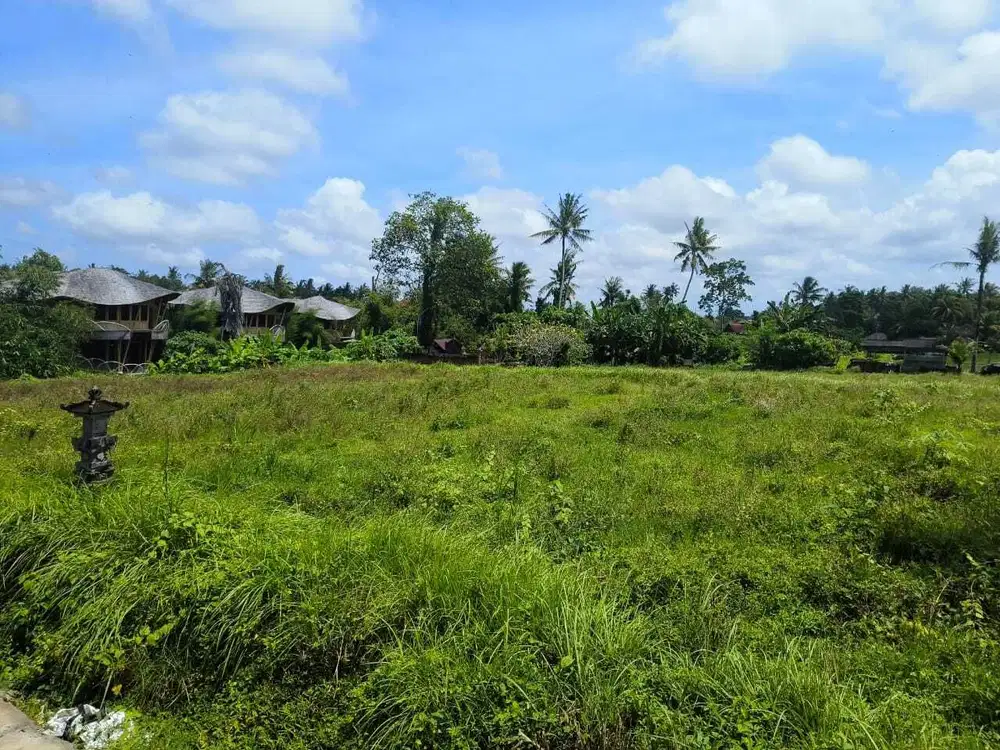 Tanah 870m2 Lingkungan Villa Mewah di Kemenuh Ubud Gianyar