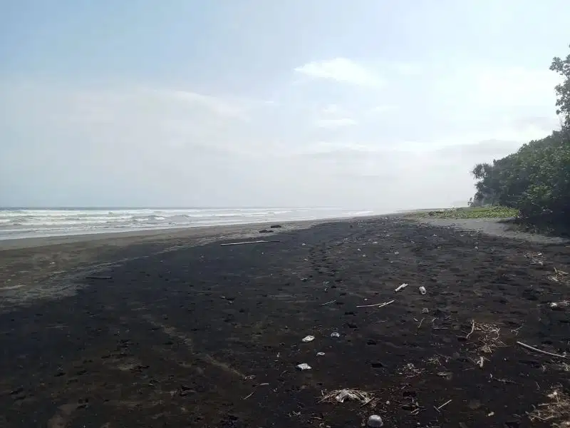 Tanah full view laut dan los sungai, lebar pantai 40 meter