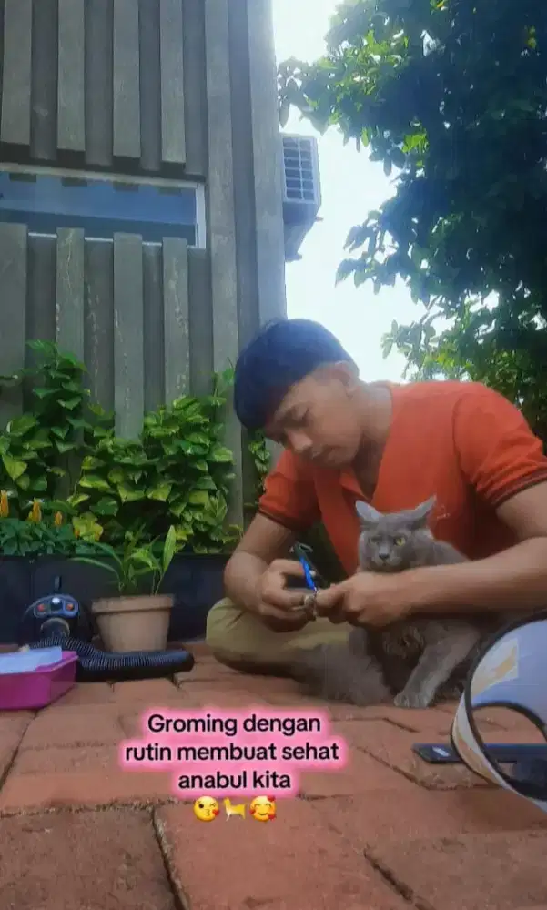 GROMING PANGGILAN MURAH