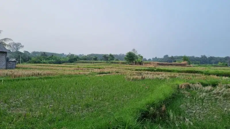 Tanah datar di jalan raya utama Gianyar, cocok untuk investasi