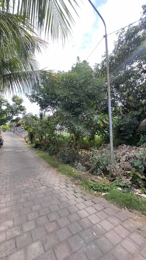 Dijual Tanah Plot Kecill 200m2 di Kawasan Bingin Uluwatu Bali