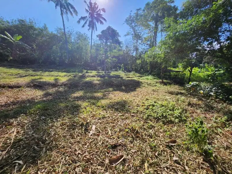Tanah los sungai kawasan villa di jalan pantai Balian