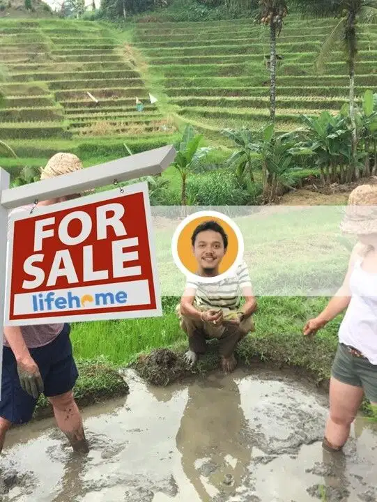 Tanah Komersil RiceTerrace Bali Jatiluwih Tabanan Return Tinggi