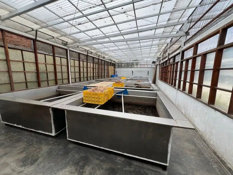 Pabrik Kecap dan Kwaci Di Bandung Owner Mau Pensiun