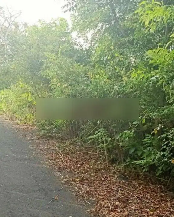 Jual atau Sewa tanah super view laut di jalan pandawa lokasi strategis