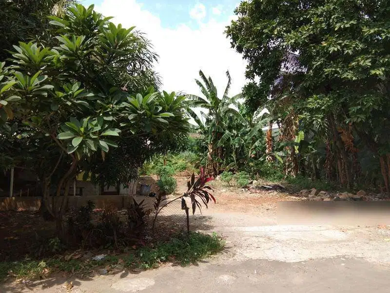 Kavling Idaman Harga Menawan untuk Rumah Hunian