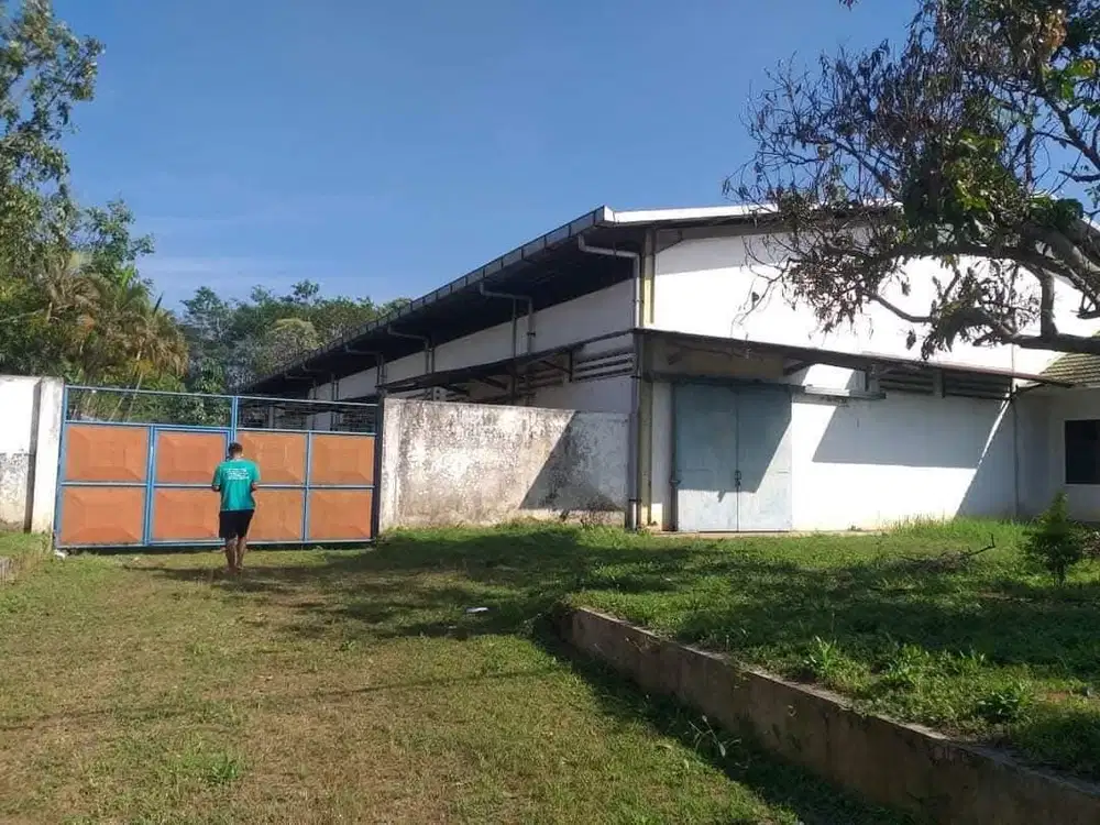 Pabrik rokok jedong Wagir malang