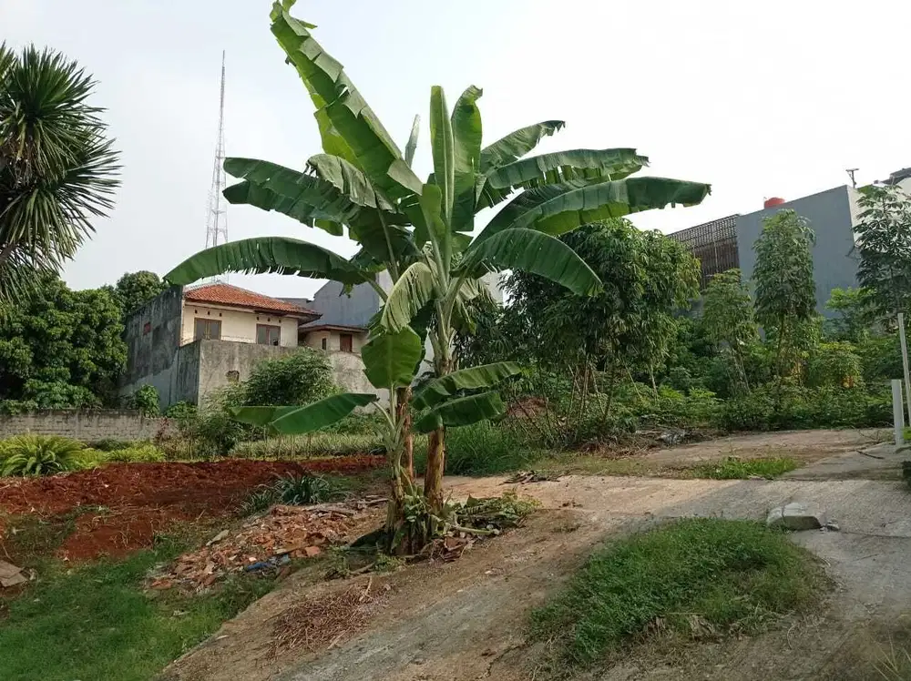 Dijual Tanah Kavling DKI meruya jakarta lt 924 m2 8jt murah bagus