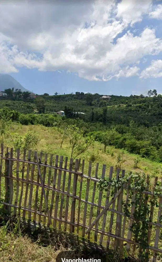 Lahan hortikultura jeruk luas 22 HA harga 1,5 juta permeter di Malang