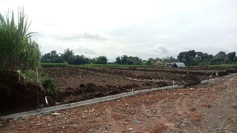 Tanah Kavling Kampus Binus Araya Malang