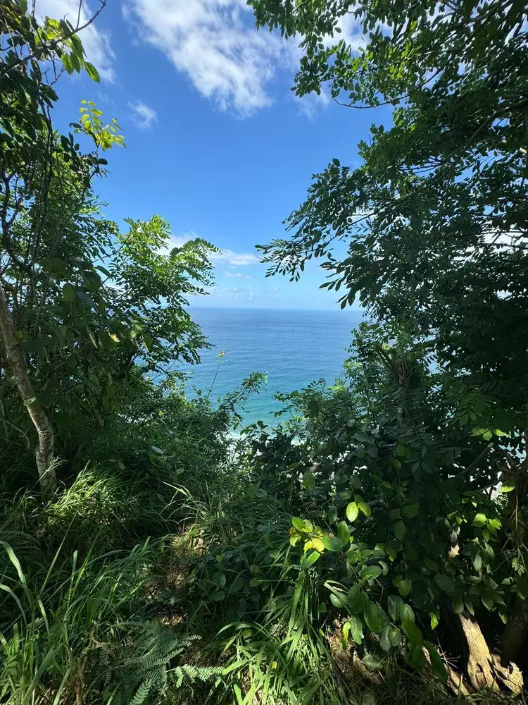 Tanah Cliff Front Nyang Nyang Uluwatu View Laut