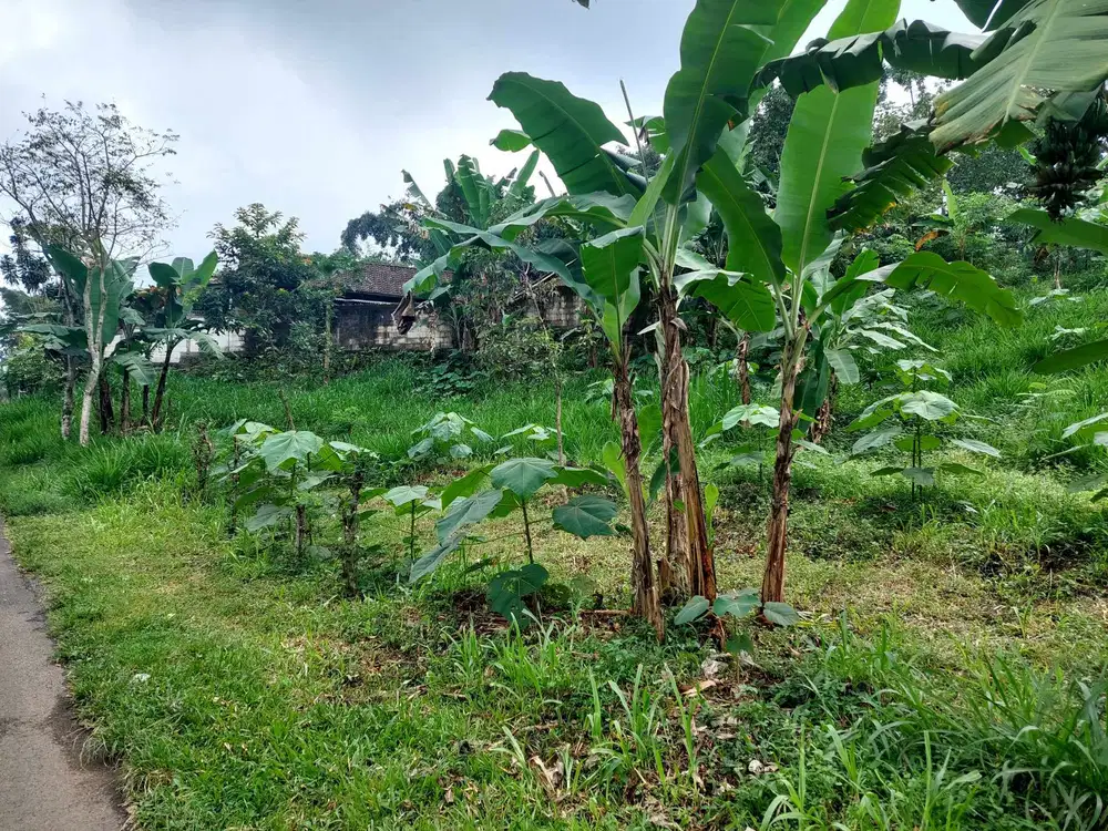 Dijual tanah nol jalan dayurejo prigen