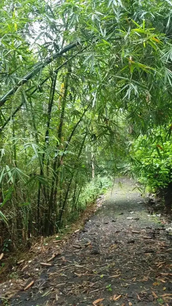 DIJUAL KAVLING Rancamaya Bogor