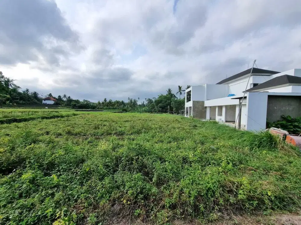 Tanah Kavling View Alam di Sentral Ubud Dekat Pison