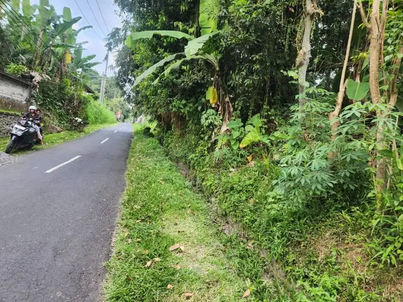 Tanah view Jungle di Keliki Ubud, lebar depan 12 meter
