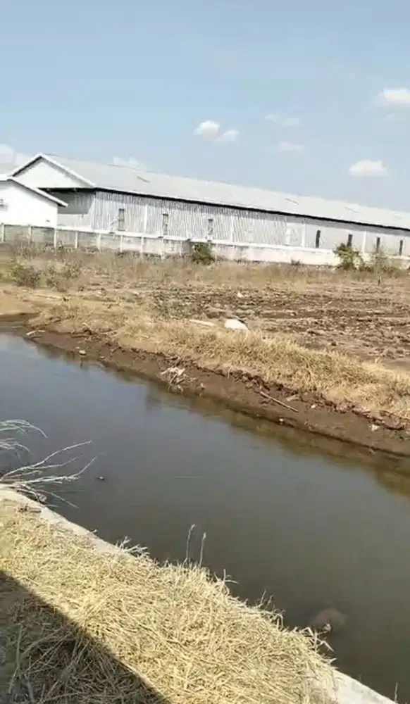 Dijual tanah zona industri Kaliwungu lokasi tepi jln pelabuhan Kendal