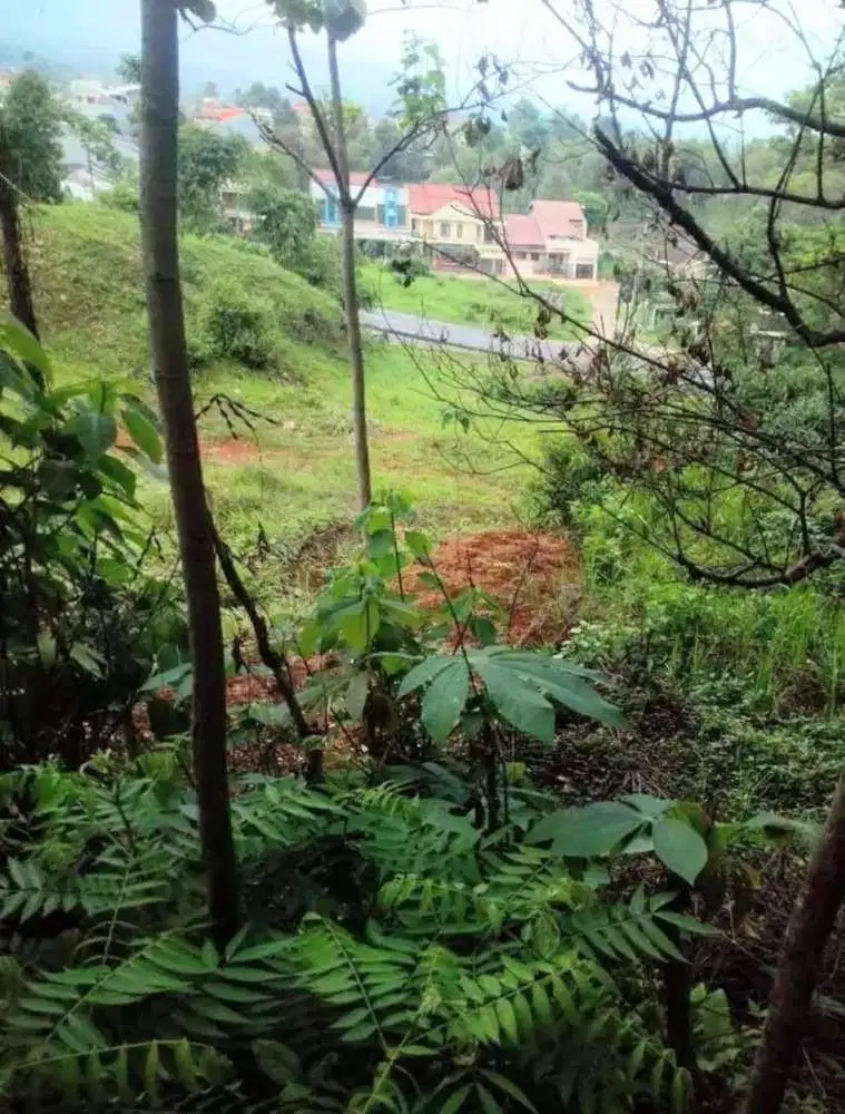 Tanah di Jalan Raya Nagreg Bandung Cocok Tempat Usaha