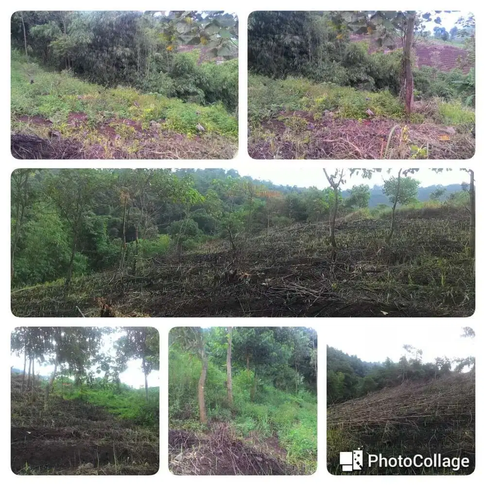 Tanah Buat Investasi Hanya 100 Meter Dari Jalan