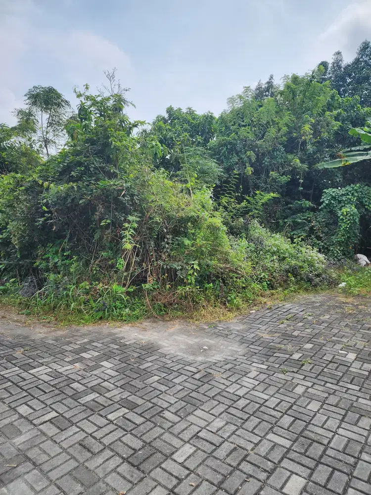 Tanah Pekarangan di Jl Damai Ngaglik 065990 jd2508