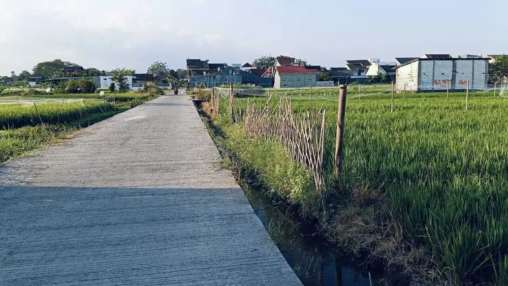 Dijual Tanah Pekarangan Luas di Sleman