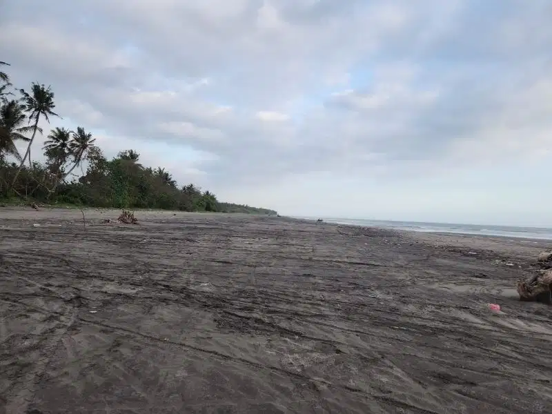 Tanah Los Pantai Strategis di Pasut Tabanan, Bali