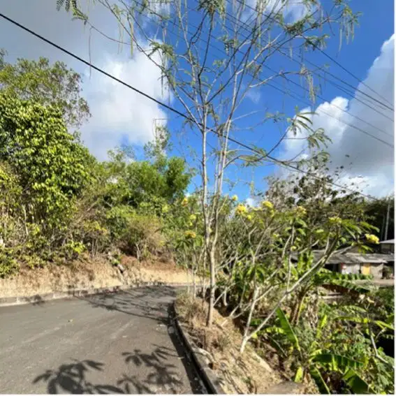 Dijual Tanah Premium Kawasan Villa Pantai Balangan Uluwatu Bali