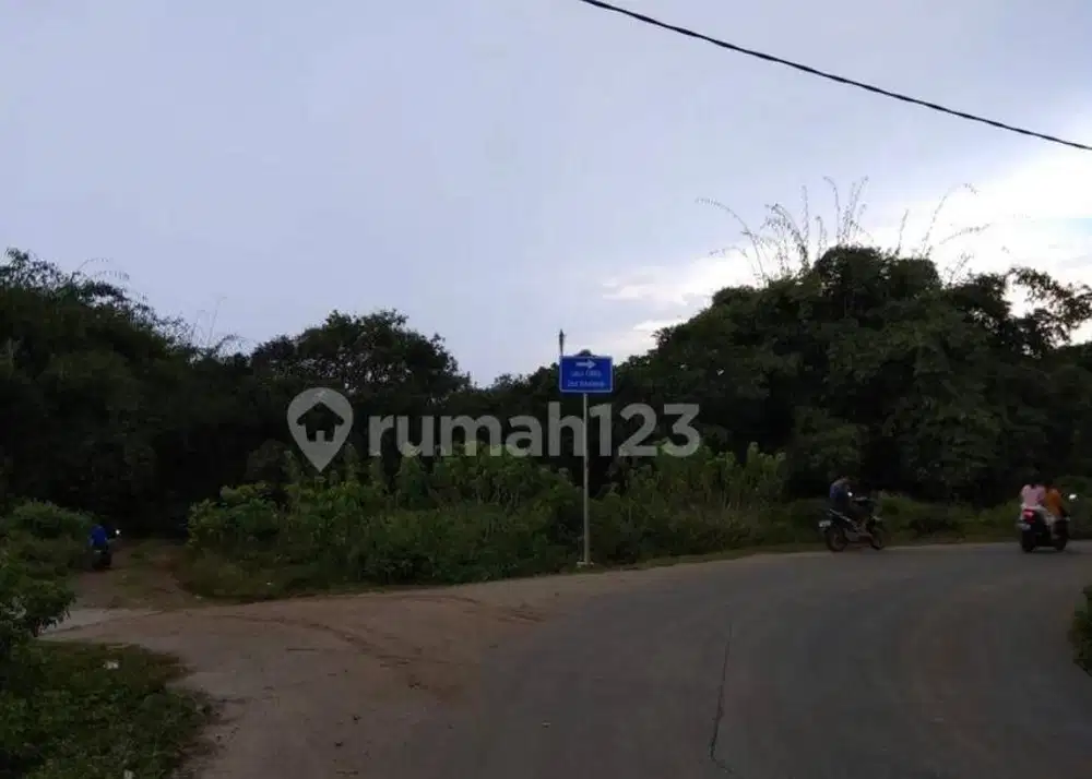 Dijual Tanah Luas Kp. Dukuh Dangdang Cisauk Kab Tangerang