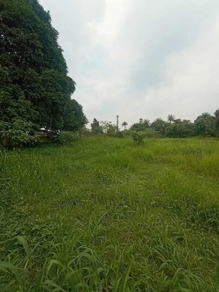 Jual tanah di tepi jalan raya utama di Ciangsana gunung putri Bogor