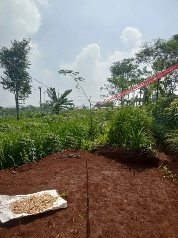 Jual tanah murah kabupaten Bandung Luas tanah 414tumbak