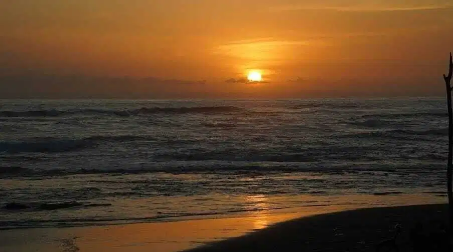 Tanah Komersial Los Pantai Medewi Sunset View Jembrana Bali