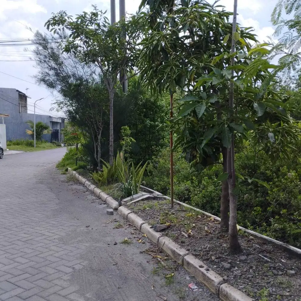 Disewakan Tanah Wisma Tirta Agung Gunung Anyar Surabaya