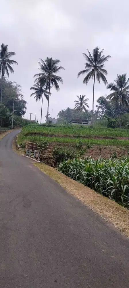 Tanah Hunian dan Pekarangan Jabung Malang