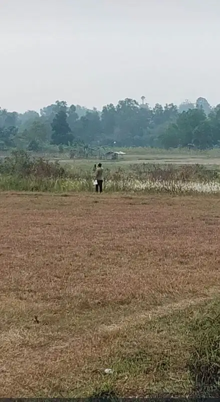 Dijual Cepat: Tanah 60 Ha Tiga Raksa, Tangerang