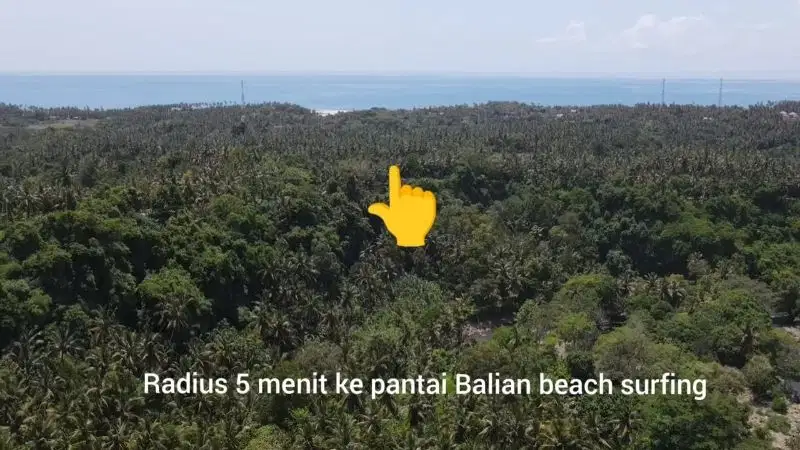 Tanah full view jungle dan sunset, 5 menit ke pantai Balian