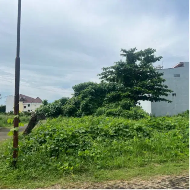 TANAH AZALEA GOLDEN PART