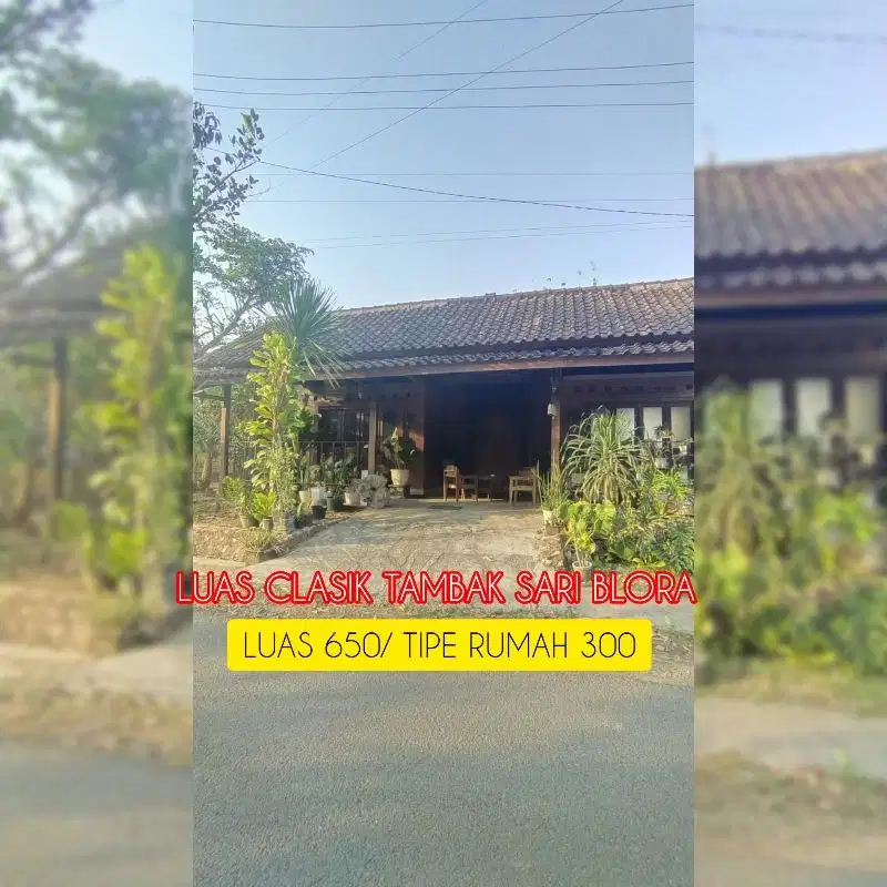 Rumah Tambak sari BLORA