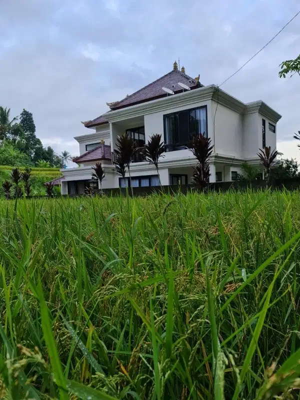 Rumah luxury style villa view sawah di Ubud, 3 kamar tidur