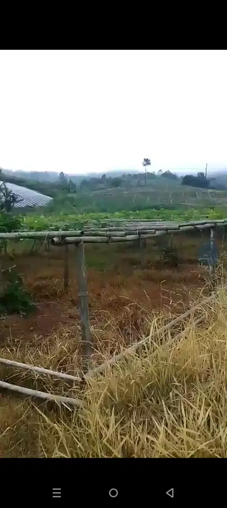 di jual tanah untuk pertanian/peternakan di takokak cianjur