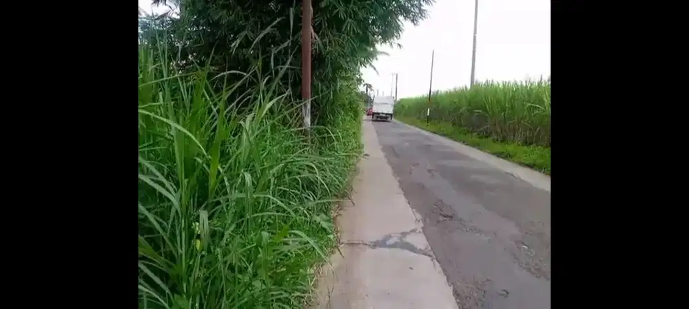 Tanah Emas Poros Aspal Jabung Malang